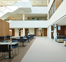 Forbo SureStep  Fast Fit 618802 elegant oak фото 3 | FLOORDEALER